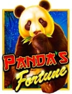 พนันบอล คืออะไร เปิดประสบการณ์ทดลองเล่น